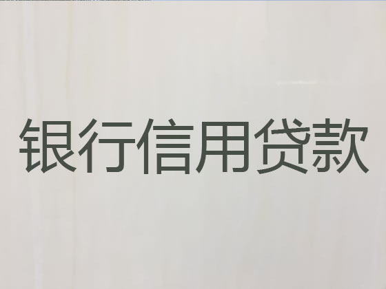 乐东贷款正规公司